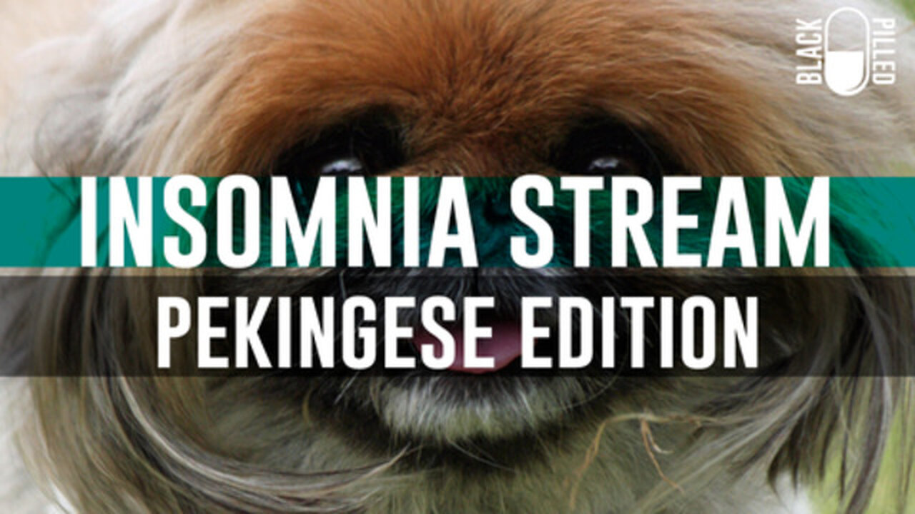 Blackpilled: Insomnia Stream #45: (Pekingese Edition) 2-27-2021