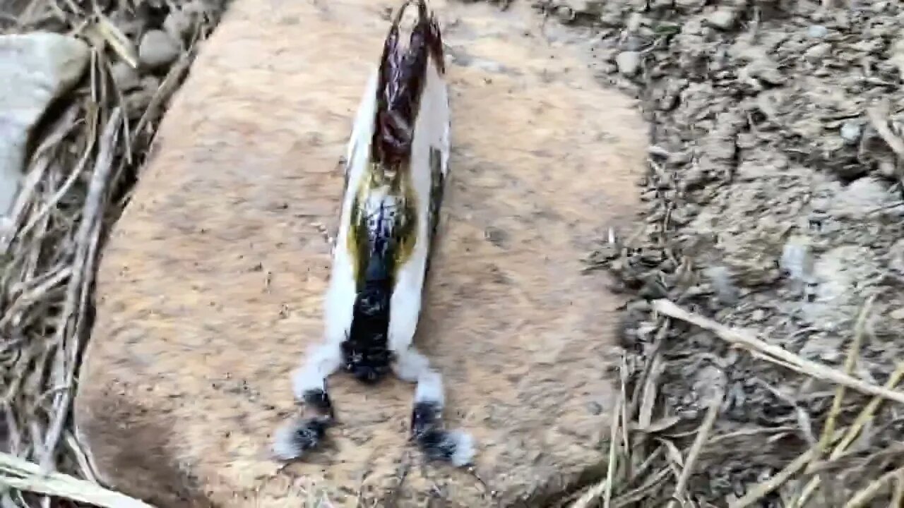 My first Pokemon called Onoedit