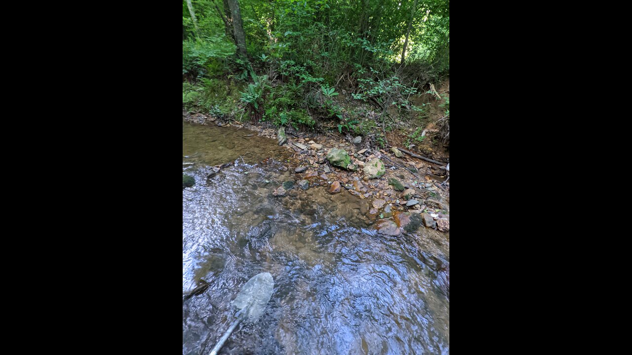 local Creek prospecting