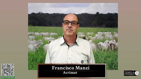 Geadas e frio intenso nos animais de pasto. O que fazer para evitar mortes?