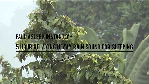 Fall Asleep Instantly- 5 Hour Relaxing Rain Sound For Sleeping