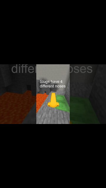 Minecraft Parkour With Crazy Facts #4