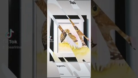 To be close together and close together. #shorts #shortsvideo #reels #tiktok #tiktokvideo