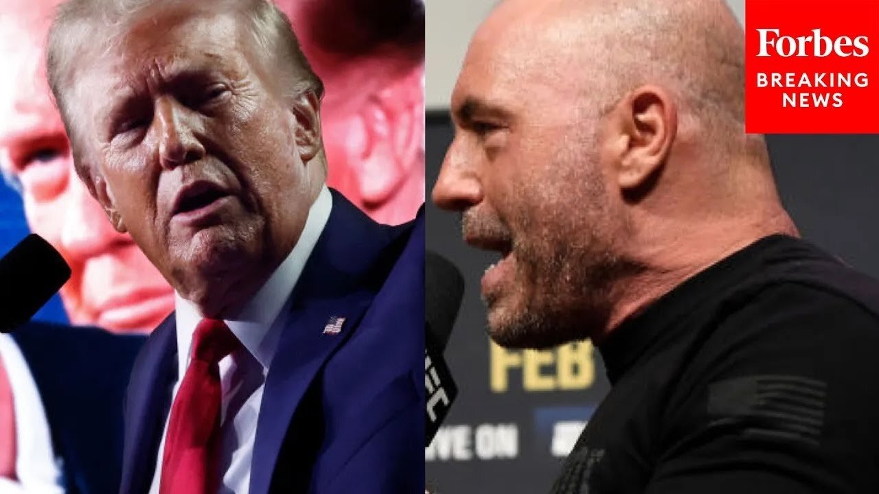 'I Was Honored To Get Joe Rogan Last Night': Trump Touts Rogan Endorsement On Election Day