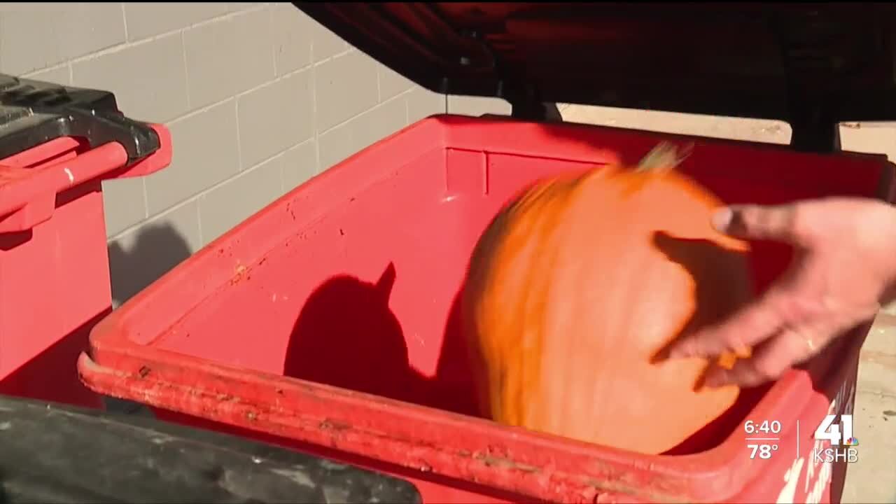 Halloween's over — What should you do with your pumpkin?