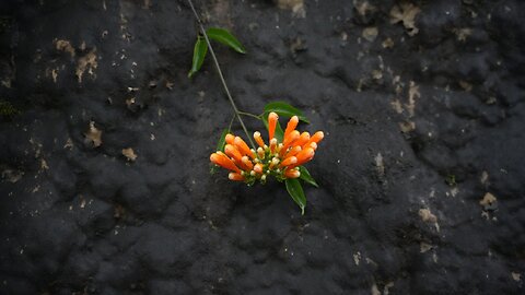 Sapa Vietnam and Cat Cat Village. Dec. 14, 2024