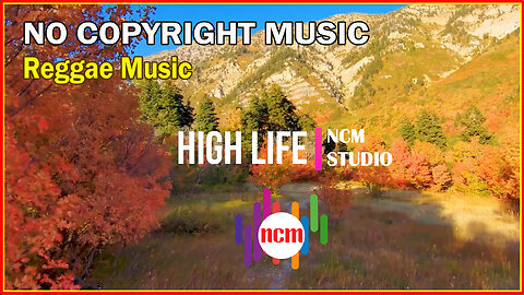 High Life - The Mini Vandals featuring Mamadou Koita and Lasso: Reggae Music, Bright Music