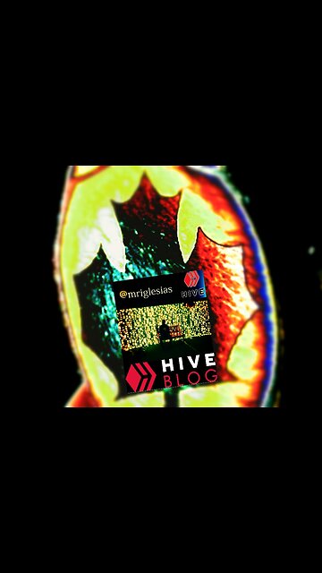 Reality Check 2024 #BEAT #RapInstra