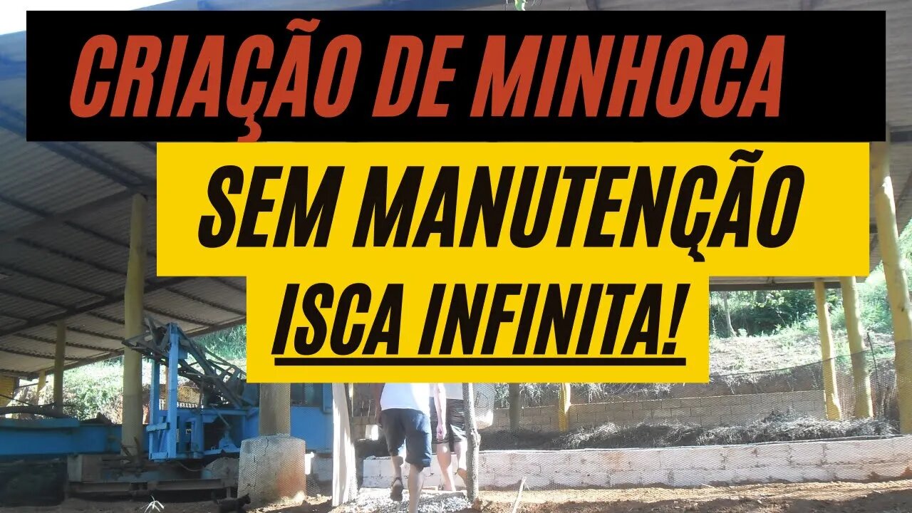 Como tirar minhoca? Dica para quem pesca ou não tem criação de minhocas!