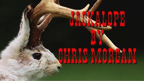 Jackalope By Chris Morgan