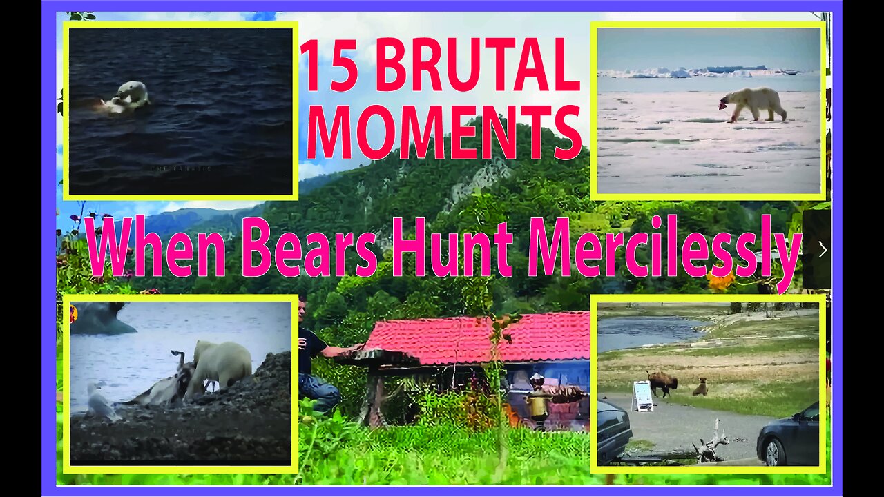 15 Brutal Moments When Bears Hunt Mercilessly