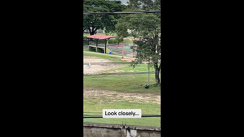 A snapshot of life in … San Ignacio Belize