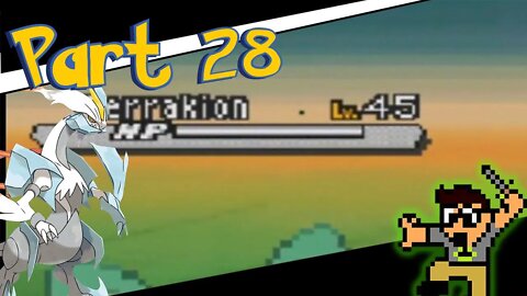 MY POKEMON ARE IDIOTS PART 28 POKEMON WHITE 2