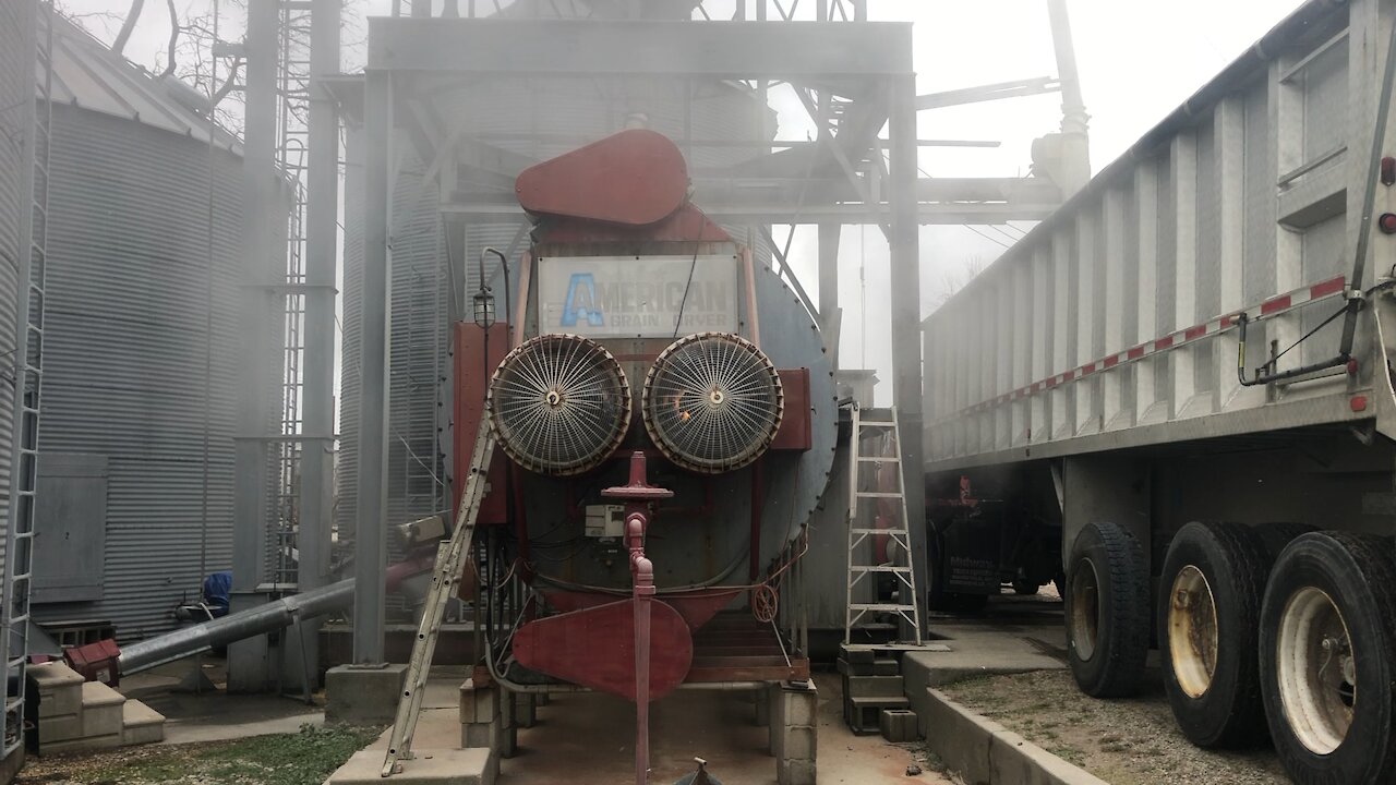 Corn in Grain Dryer