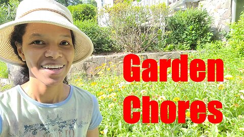 Must do Garden Chores this week