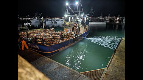 nights at the dock