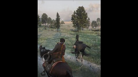 My Moments In Red Dead Redemption Online [--Edit--]