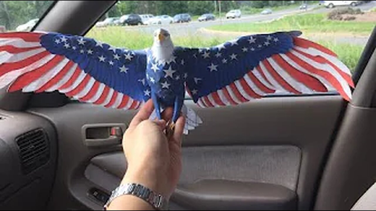 Bald Eagle Papercraft by Ikuo Anazawa