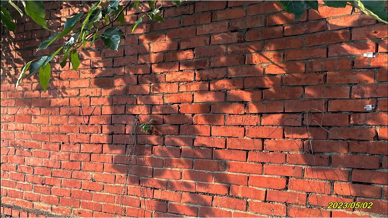 23_0502F168 大肚瑞井