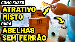 Como fazer ATRATIVO MISTO para CAPTURAR ABELHA JATAÍ e outras nativas sem ferrão - COLETA E PREPARO