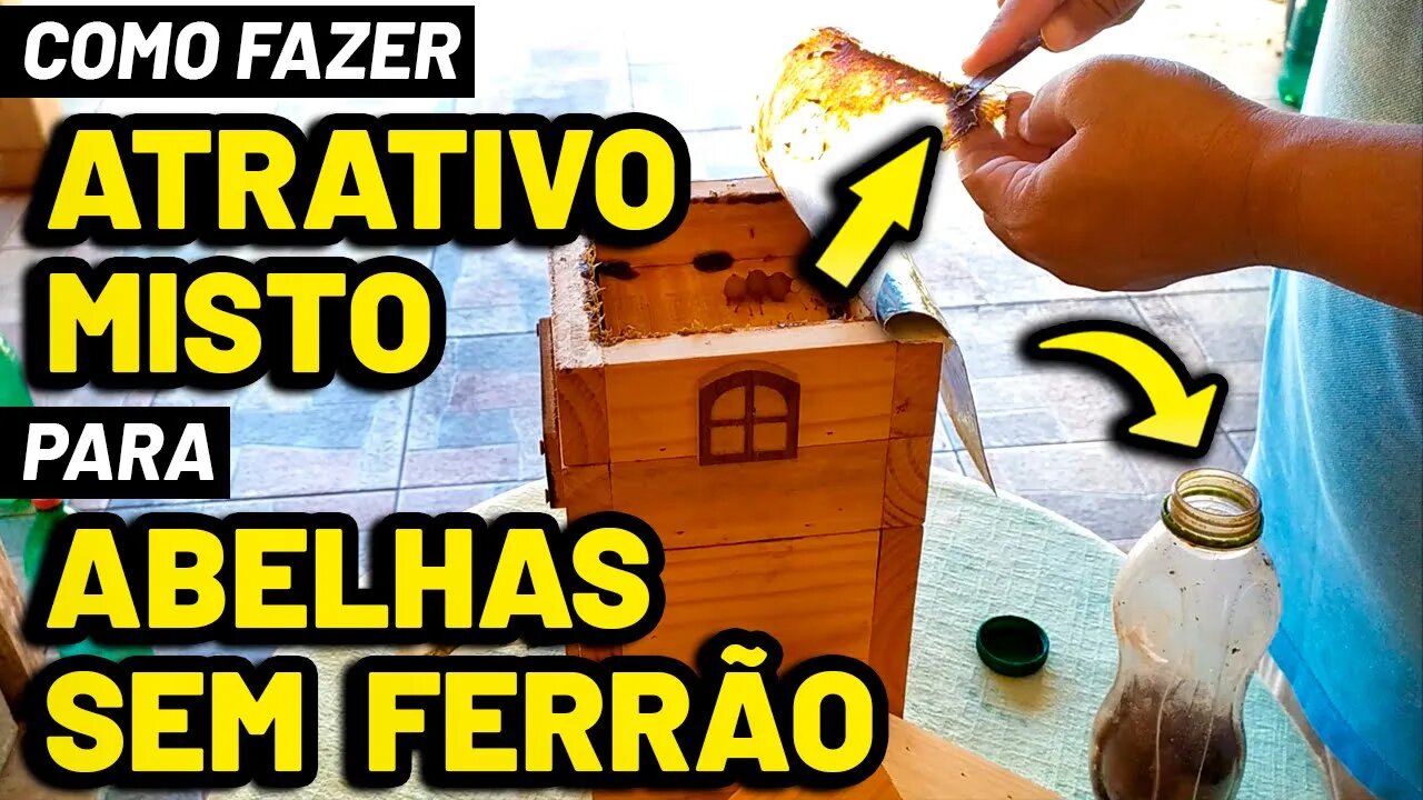 Como fazer ATRATIVO MISTO para CAPTURAR ABELHA JATAÍ e outras nativas sem ferrão - COLETA E PREPARO