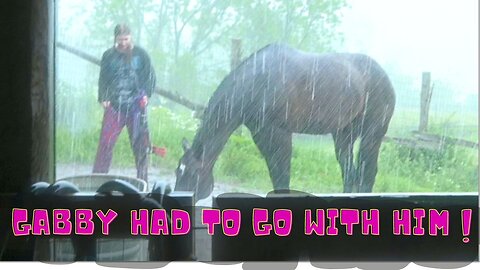 Horse Freaks Out In Extreme Thunder Storm!