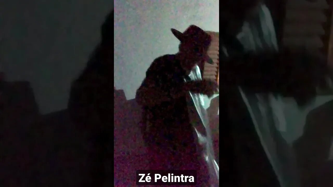 Zé Pelintra malandro e conquistador