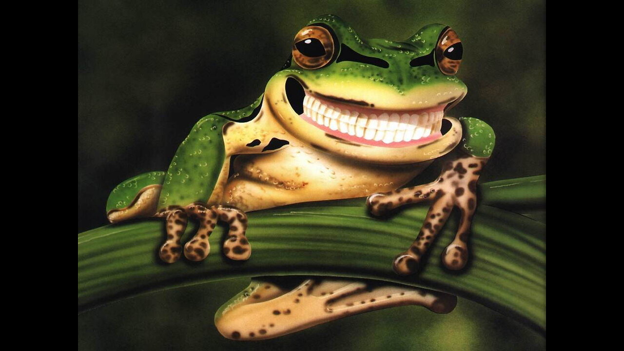 “Funny Frog. HOW MANY TIMES DID YOU SEE THIS?” - ME: YES 😅