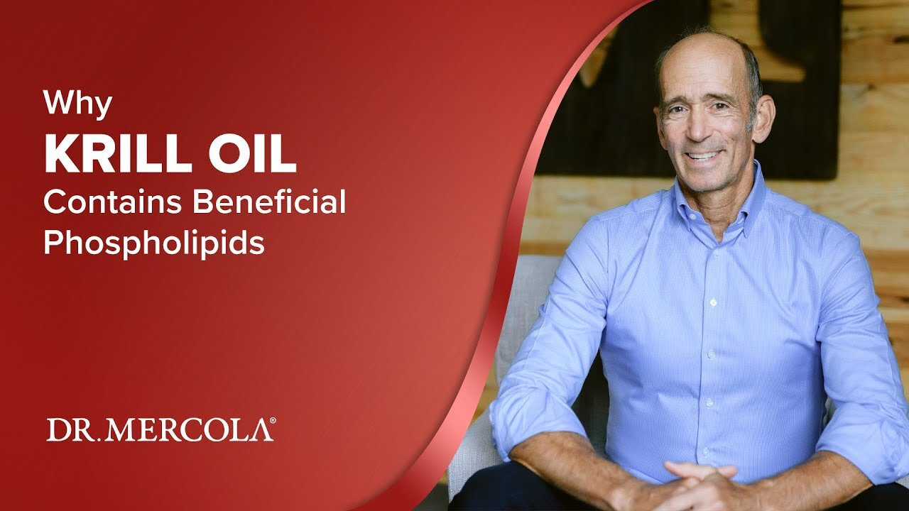 Why KRILL OIL Contains Beneficial Phospholipids