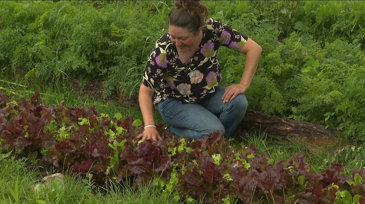 Proposed Birds and Bees Protection Act may ban certain pesticides throughout New York