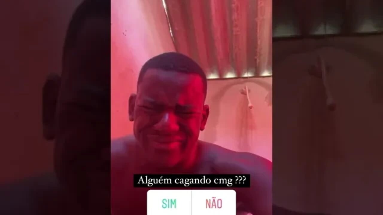 PITBULL TA NO VASO ALGUEM AI CAGANDO COMIGO ? [ MEME ] VIRAL !