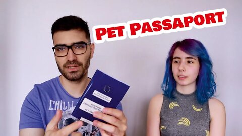 Fizemos passaporte europeu para as nossas gatas