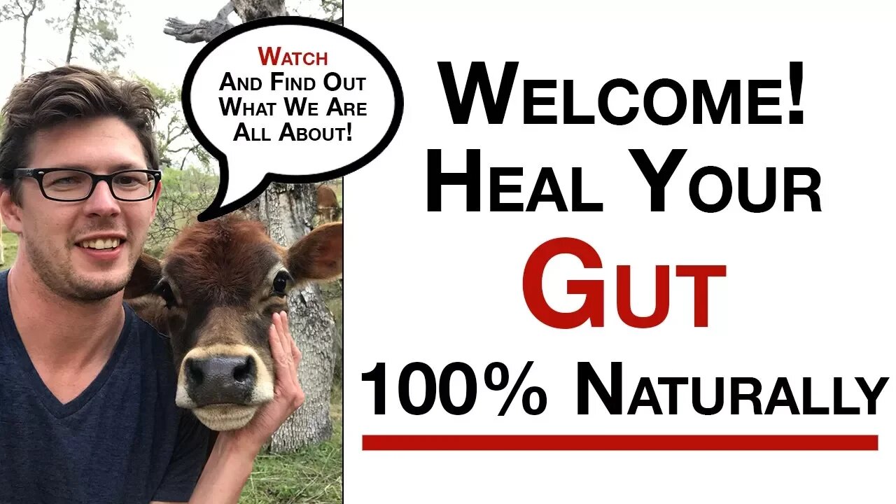 Welcome to the Heal Your Gut Guy Channel!