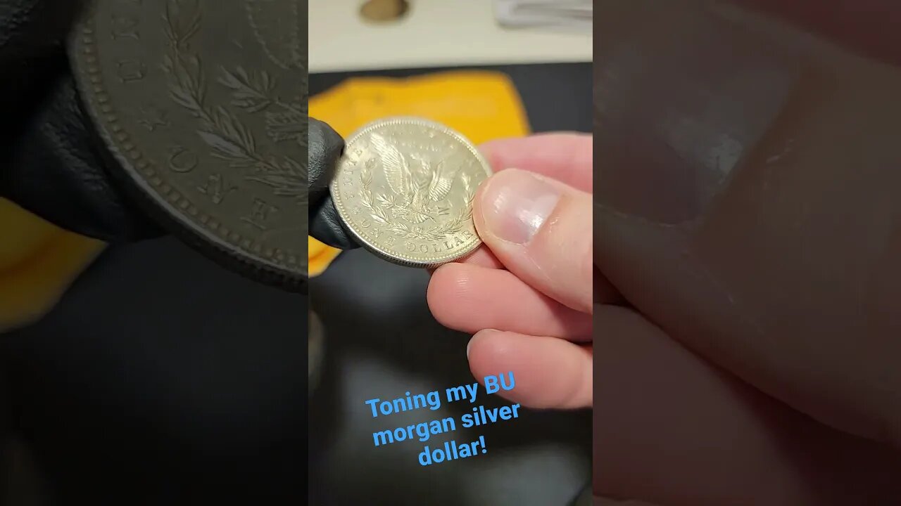 Toning my BU Morgan silver dollar!