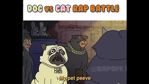 Dog vs cat battle