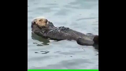 Me trying to lose a few pounds before going on vacation🏋️‍♀️😂