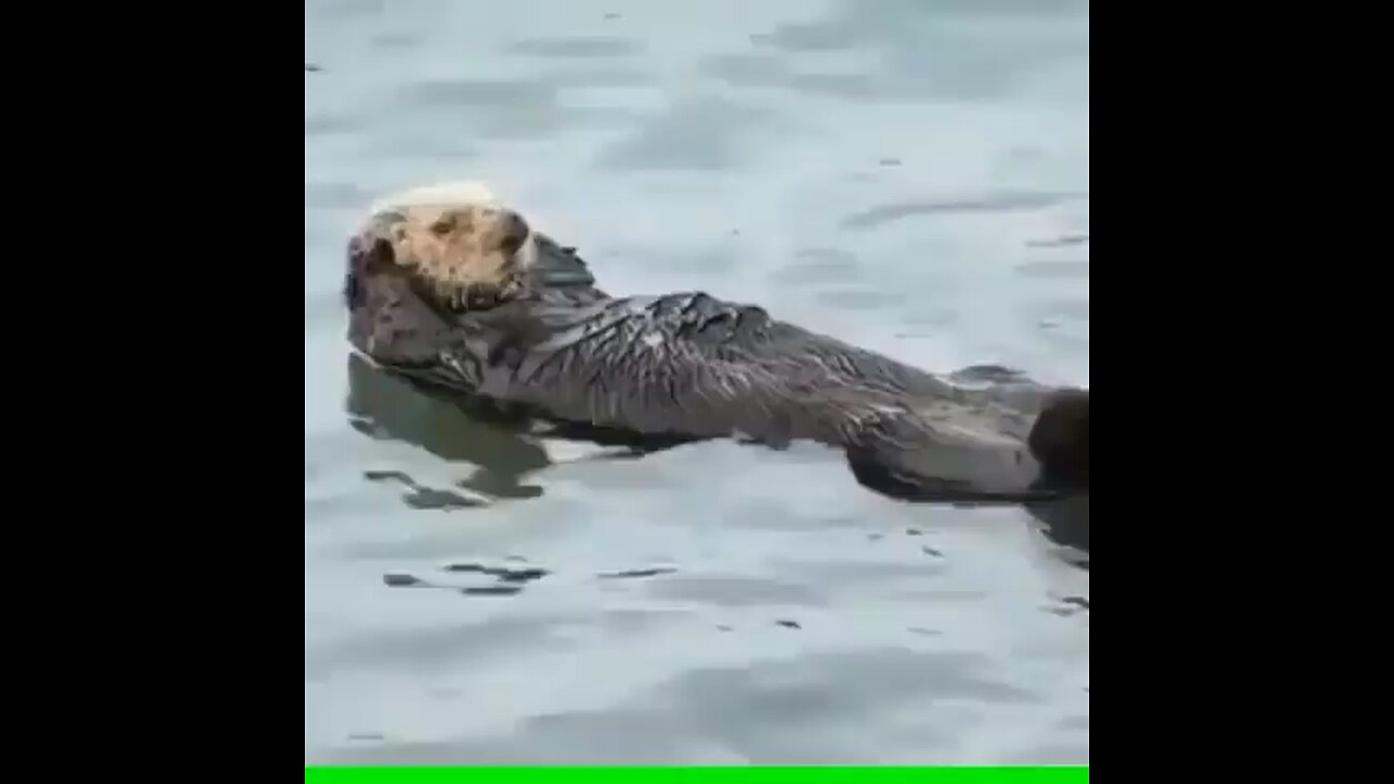 Me trying to lose a few pounds before going on vacation🏋️‍♀️😂