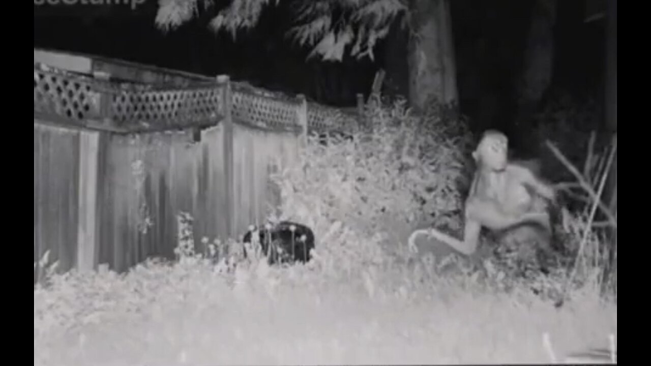 Las Vegas resident captures on camera an alien that crashed in his backyard