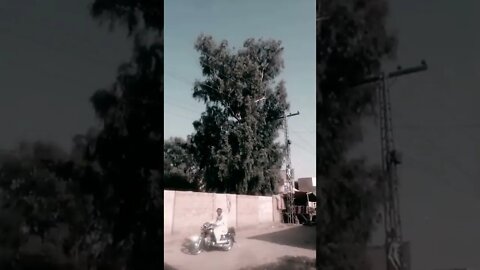 vehari city Tanki Chowk|| ye hai Mera shehr