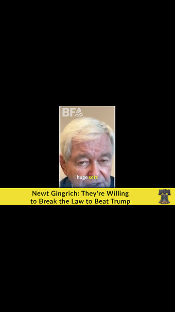 Newt Gingrich: They're Willing to Break the Law to Beat Trump