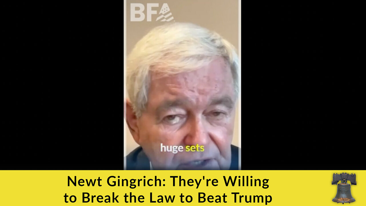 Newt Gingrich: They're Willing to Break the Law to Beat Trump