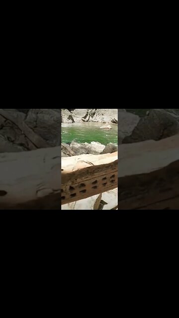 Found a interesting piece of drift wood. Was it man made?