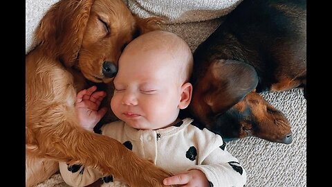Best video of Babies and pets