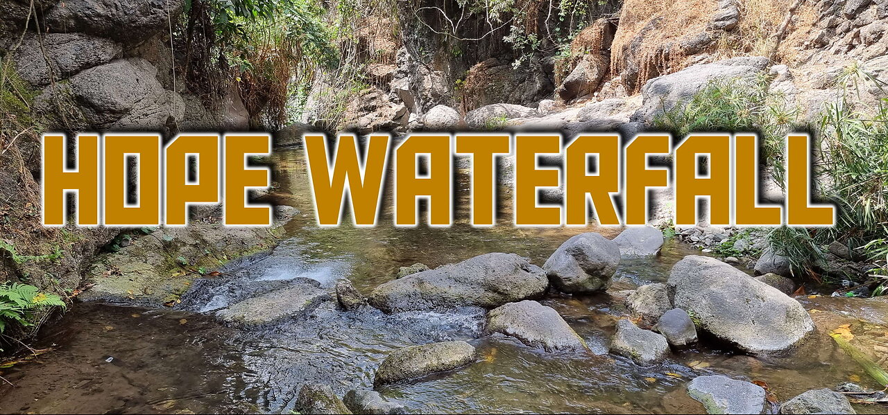 Visiting Hope Waterfall and River in Jamaica