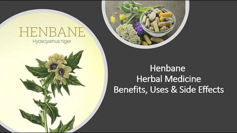 Henbane Herbal Medicine Benefits, Uses & Side Effects