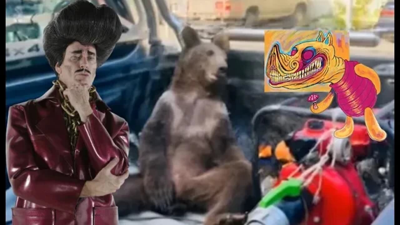 Trippin' balls with Winnie the pooh and Peter Mayhew