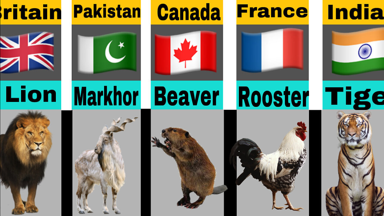 National Animals From Different Countries