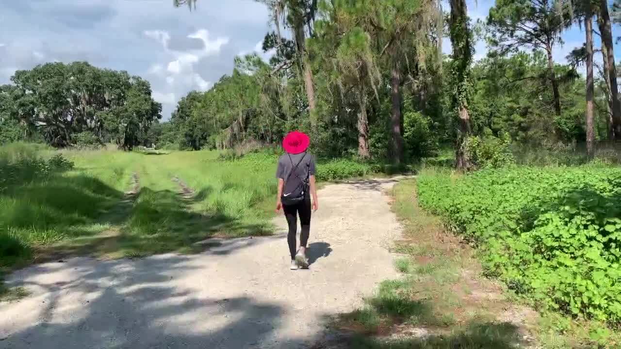 Walking Club: Exploring Plant City’s McIntosh Preserve