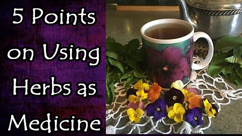 5 Points On Herbs As Medicine