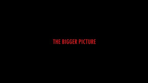 THE BIGGER PICTURE (FULL DOCUMENTARY)